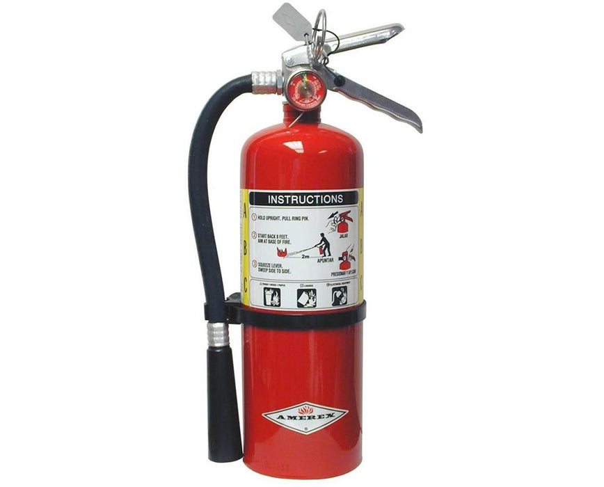 6 lbs Multi-Purpose ABC Dry Chemical Fire Extinguisher (3A:40B:C) with Brass Valve - Chrome
