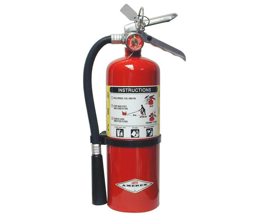 5 lbs Multi-Purpose ABC Dry Chemical Fire Extinguisher with Brass Valve 2A:10B:C) Red, Wall Bracket
