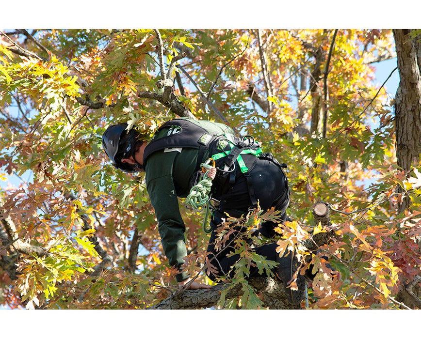 Agility Tree Climbing Harness