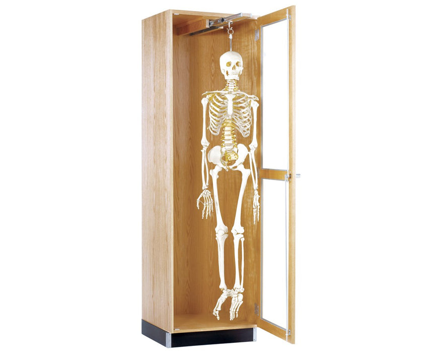 Hang-up Skeleton Cabinet