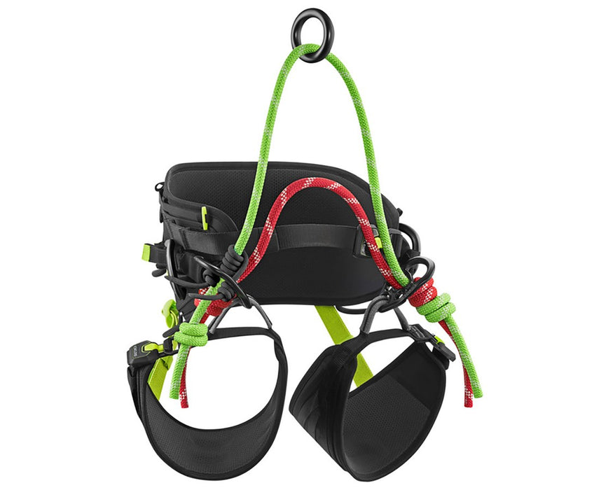 TreeRex Triple Lock Climbing Safety Harness