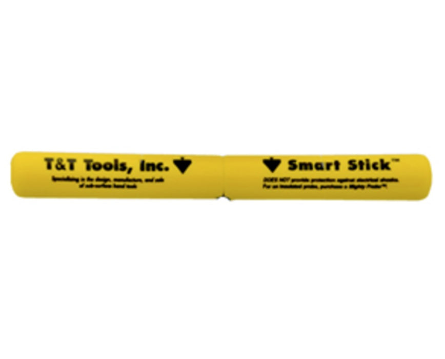 Handle Assemblies For Smart Stick